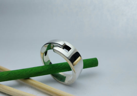 Gozne Ring 004